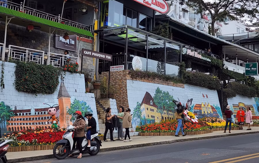 Nhiều người đi đường dừng xe ghi lại ảnh đẹp bên hoa muôn màu.