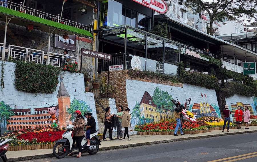 Nhiều người đi đường dừng xe ghi lại ảnh đẹp bên hoa muôn màu.