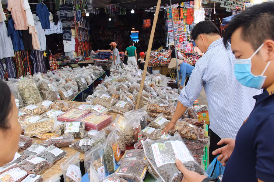 Một cửa hàng thảo dược khô. Ảnh: Quang Viên