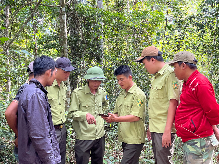 Các lực lượng chức năng tăng cường công tác bảo vệ rừng. Ảnh: Phương Vi Các lực lượng chức năng tăng cường công tác bảo vệ rừng