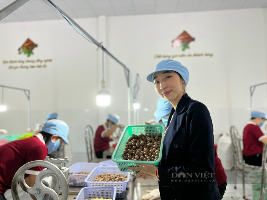 Dù máy móc đã hiện đại hơn, nhưng nhằm đảm bảo chất lượng, quá trình soi và dập hạt vẫn được Phương duy trì cách làm thủ công.