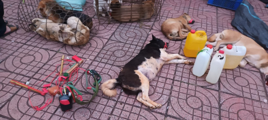 Súng bắn điện được nhóm nghi phạm trộm chó mang theo. Ảnh: Phan Bá 