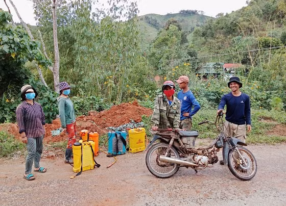 Chăm sóc, phun thuốc diệt mối trên khu vực rừng trồng xã Đắk Hà.