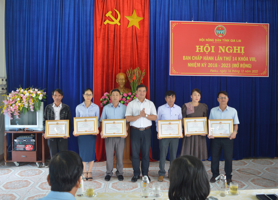 Chủ tịch Hội Nông dân tỉnh Võ Anh Tuấn tặng bằng khen cho các tập thể, cá nhân. Ảnh: Anh Huy