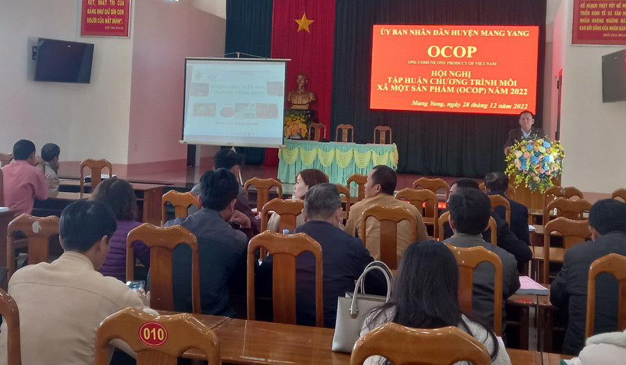Quang cảnh buổi tập huấn. Ảnh: Kim Nguyễn