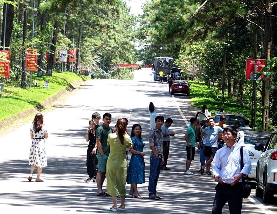 Du khách tham quan rừng thông xanh bên đường vào thị trấn Măng Đen. Ảnh: Thanh Tuấn