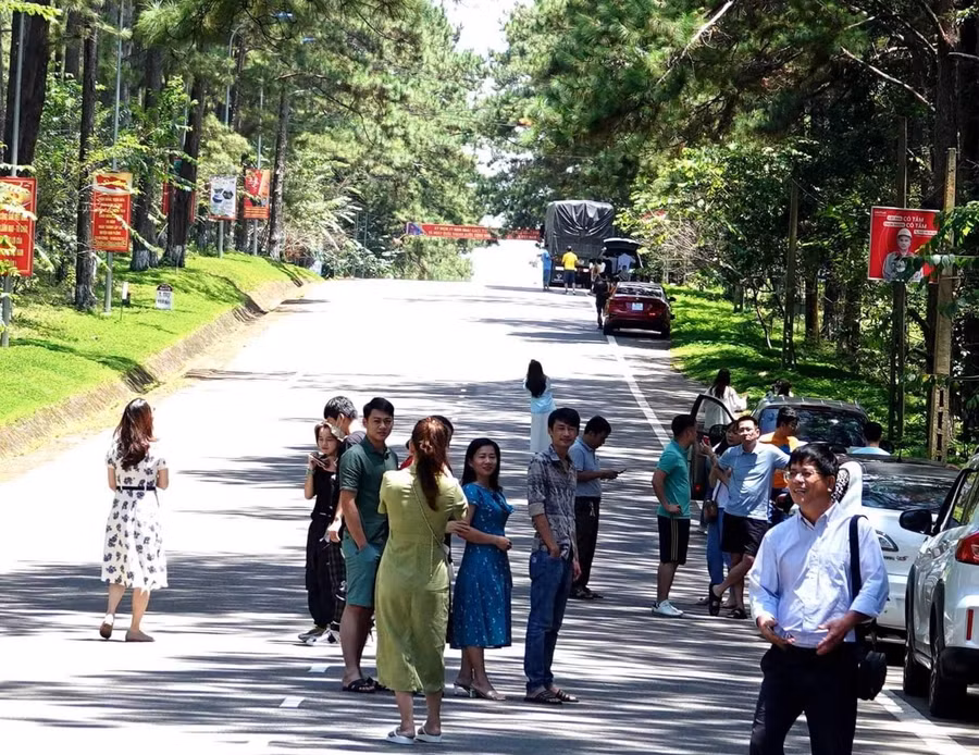 Du khách tham quan rừng thông xanh bên đường vào thị trấn Măng Đen. Ảnh: Thanh Tuấn