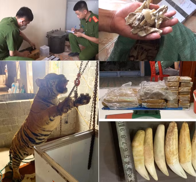 Tang vật liên quan tới vụ án. Ảnh: Công an Thanh Hóa