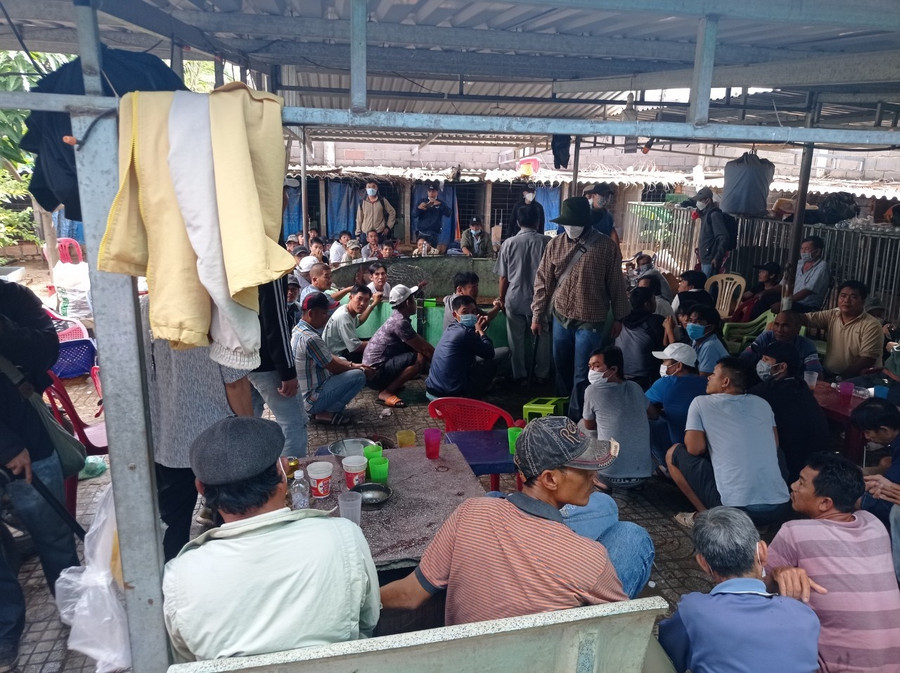 Khoảng 70 người bị tạm giữ trong trường gà ở TP.Phan Thiết. Ảnh: Công An Khoảng 70 người bị tạm giữ trong trường gà ở TP.Phan Thiết. Ảnh: CÔNG AN