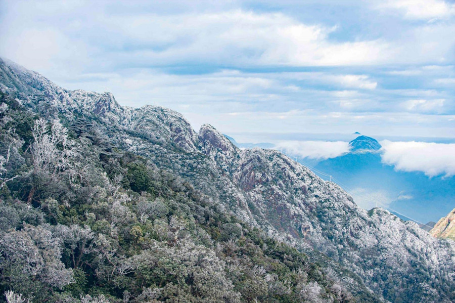 Du khách thích thú “săn” cảnh băng giá phủ trắng Sa Pa. Ảnh: Ngọc Trang