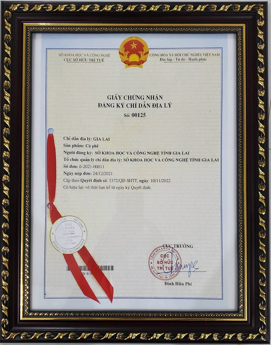 Chứng nhận bảo hộ chỉ dẫn địa lý Cà phê Gia Lai. Ảnh: Hà Duy