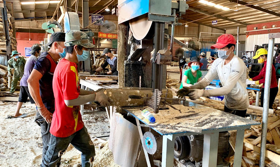 Nhà máy chế biến gỗ Nhất Huy 1 (Khu Công nghiệp Trà Đa, TP. Pleiku). Ảnh: Hà Duy