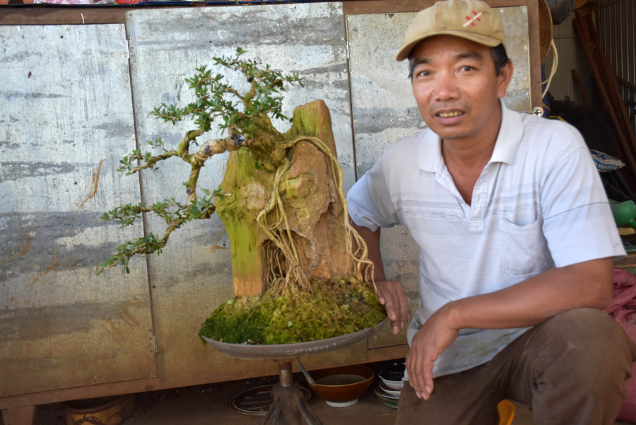 Anh Lê Quang (tổ 6, phường Thắng Lợi, TP. Pleiku) bên tác phẩm cây sam đá. Ảnh: Hà Phương