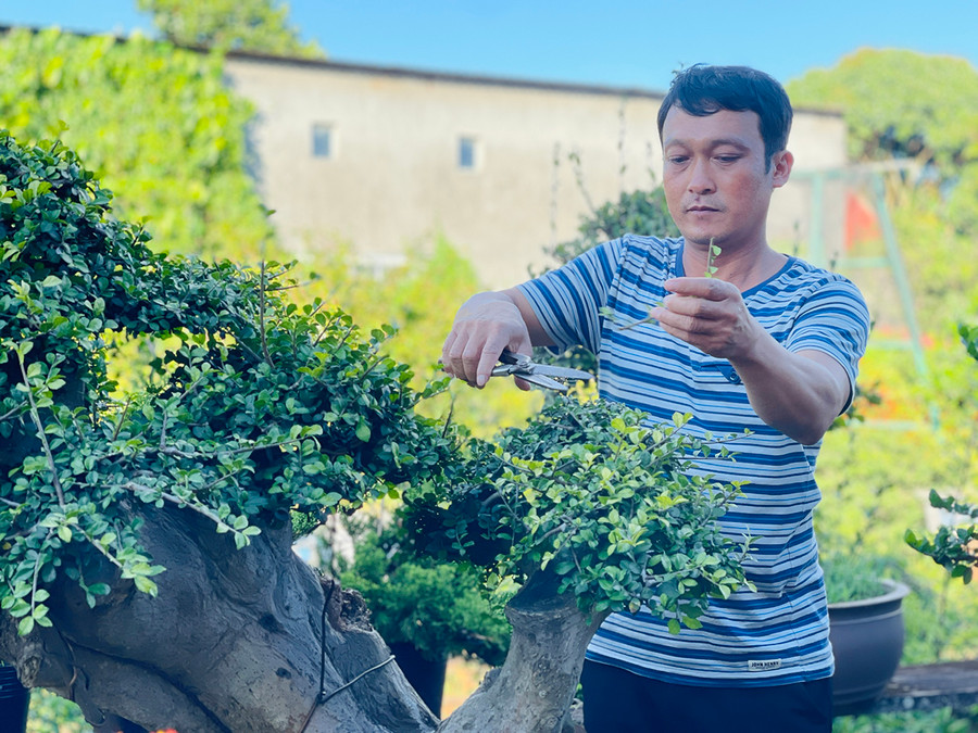 Ông Nguyễn Tấn Phúc (thôn Phú Quang, xã Ia Hrú, huyện Chư Pưh) chăm sóc vườn cây cảnh của gia đình. Ảnh: Mai Ka  Ông Nguyễn Tấn Phúc (thôn Phú Quang, xã Ia Hrú, huyện Chư Pưh) chăm sóc vườn cây cảnh của gia đình. Ảnh: Mai Ka