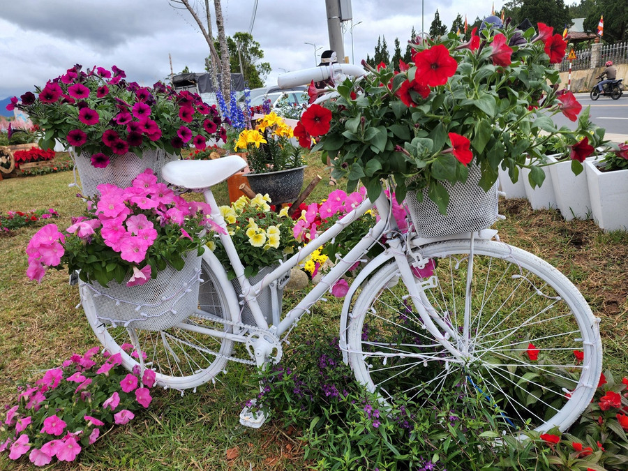 Xe đạp hoa duyên dáng trong công viên. Ảnh: Lâm Viên