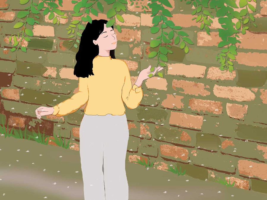 Minh họa: Huyền Trang Minh họa: Huyền Trang