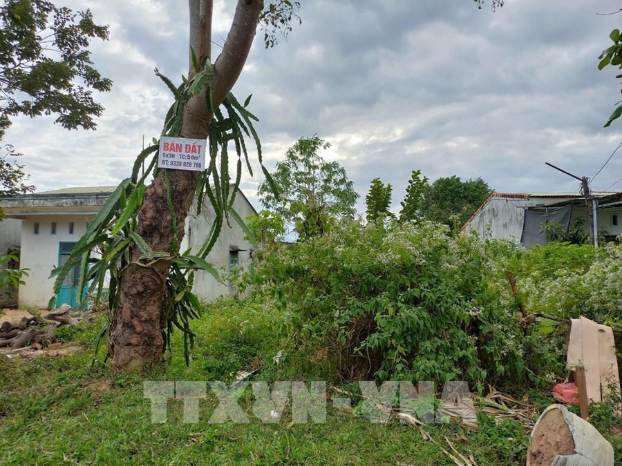 Nhiều lô đất tại thành phố Kon Tum treo biển bán đã lâu nhưng không có người hỏi mua. Ảnh: Dư Toán – TTXVN