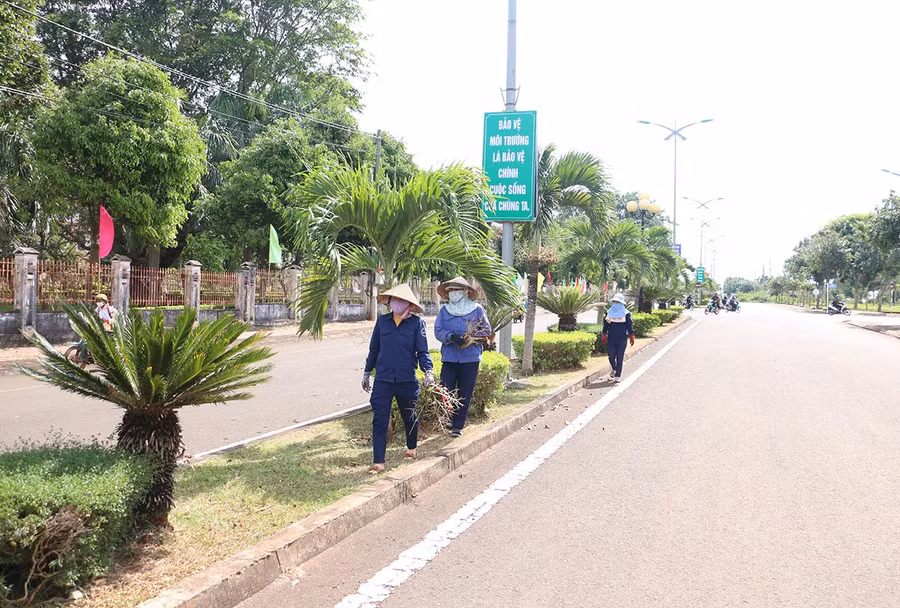 Công nhân tiến hành dọn dẹp vệ sinh, cắt tỉa cây xanh trên các tuyến đường trung tâm huyện. Ảnh: Quang Tấn