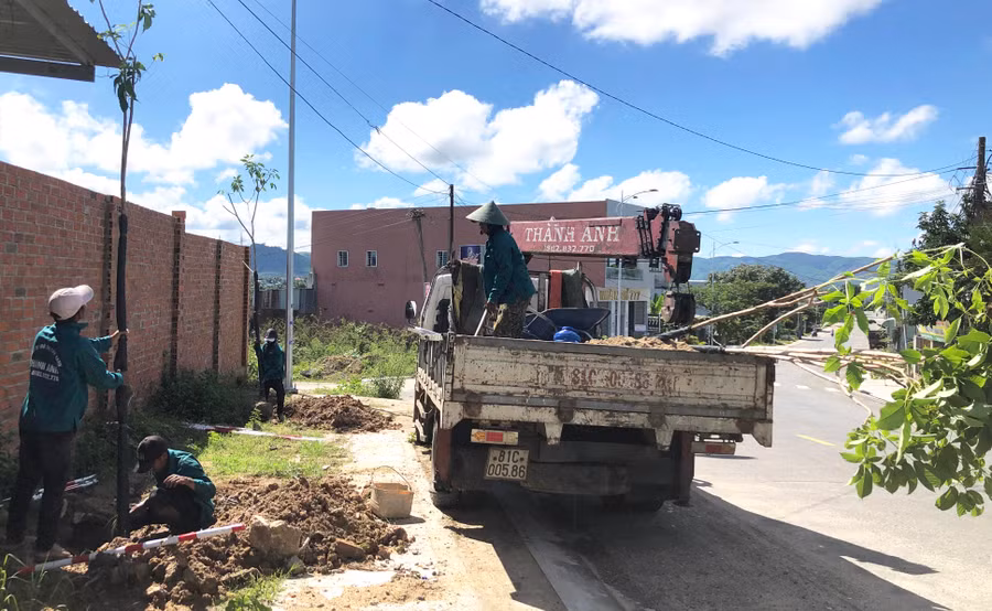 Trong năm 2021 và 2022, các phường Tây Sơn, An Phú và An Tân đã trồng 2.892 cây xanh trên một số tuyến đường. Ảnh: Ngọc Minh