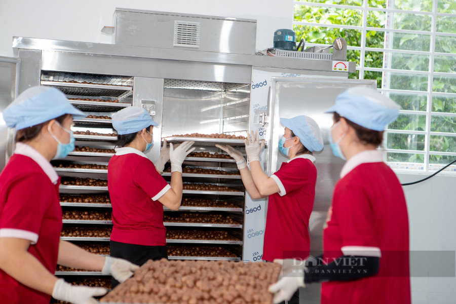 Phương tạo việc làm cho 30 lao động địa phương với mức thu nhập trung bình 5-8 triệu đồng/ 1 tháng.