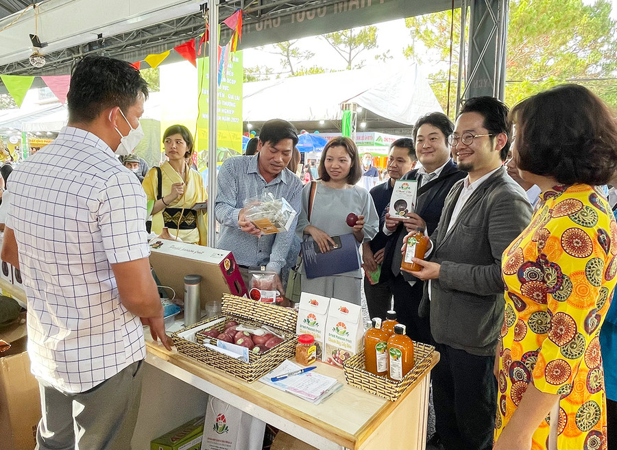 Doanh nghiệp Nhật Bản tham quan gian hàng của tỉnh tại Hội chợ triển lãm thương mại và giới thiệu sản phẩm OCOP khu vực Tây Nguyên-Gia Lai và giao thương doanh nghiệp Nhật Bản năm 2022. Ảnh: Vũ Thảo Doanh nghiệp Nhật Bản tham quan gian hàng của tỉnh tại Hội chợ triển lãm thương mại và giới thiệu sản phẩm OCOP khu vực Tây Nguyên-Gia Lai và giao thương doanh nghiệp Nhật Bản năm 2022. Ảnh: Vũ Thảo