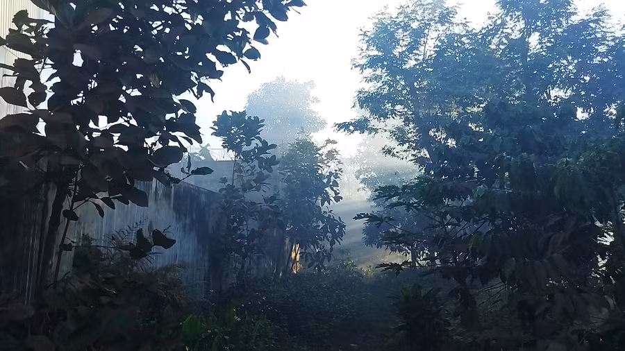 Nhiều công ty, cơ sở và hộ kinh doanh cà phê ở xã Ia Dêr xả bụi ra môi trường. Ảnh Nguyễn Tú