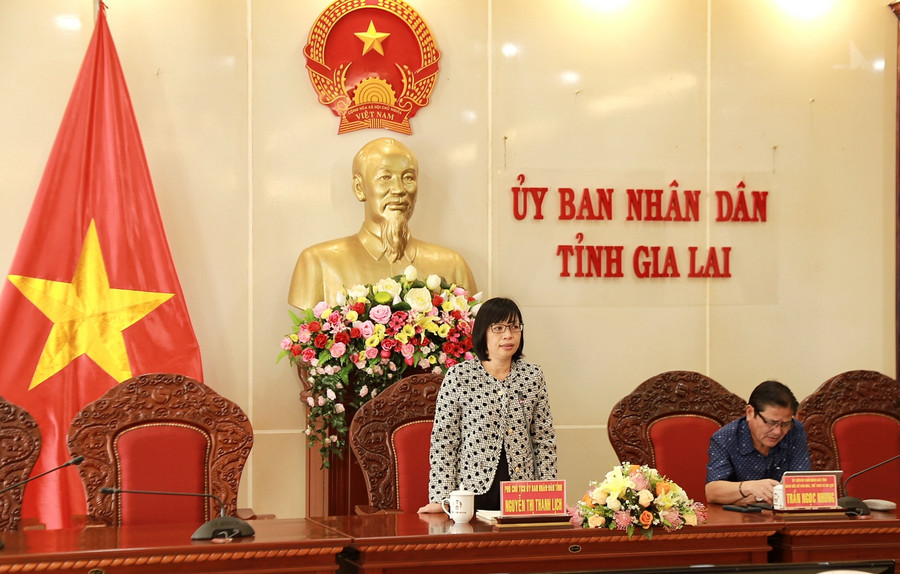 Phó chủ tịch UBND tỉnh Nguyễn Thị Thanh Lịch chủ trì cuộc họp