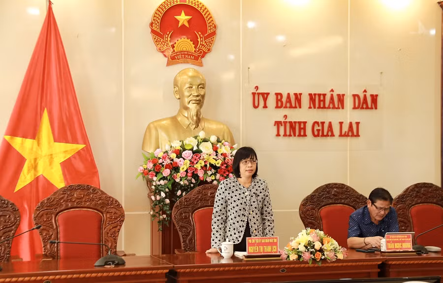 Phó chủ tịch UBND tỉnh Nguyễn Thị Thanh Lịch chủ trì cuộc họp