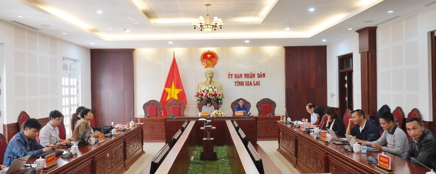 Phó chủ tịch UBND tỉnh Nguyễn Thị Thanh Lịch chủ trì cuộc họp