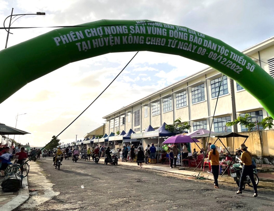 Phiên chợ nông sản vùng đồng bào dân tộc thiểu số thu hút 19 gian hàng của một số huyện, thị xã trong tỉnh Gia Lai. Ảnh: Ngọc Minh.