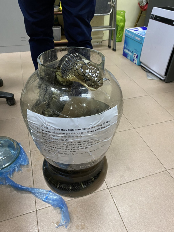 Tang vật Công an huyện Lâm Thao thu giữ.