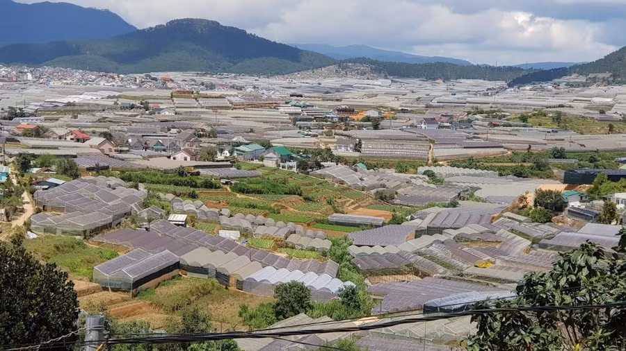 Nhà kính phát triển tràn lan ở Đà Lạt. Ảnh: Gia Bình 
