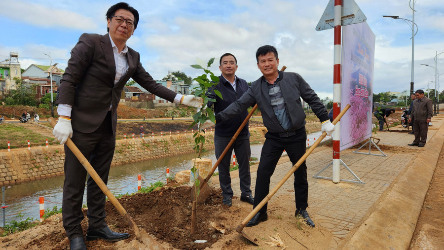 Trước đó, Công ty đã phối hợp với thành phố trồng 300 cây hoa Anh đào tại khu đô thị suối Hội phú