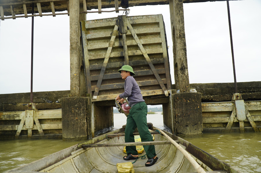 Ông Võ Công Xuân thuộc từng “ngõ ngách” của phá Hạc Hải như lòng bàn tay. Ảnh: Nguyễn Phúc