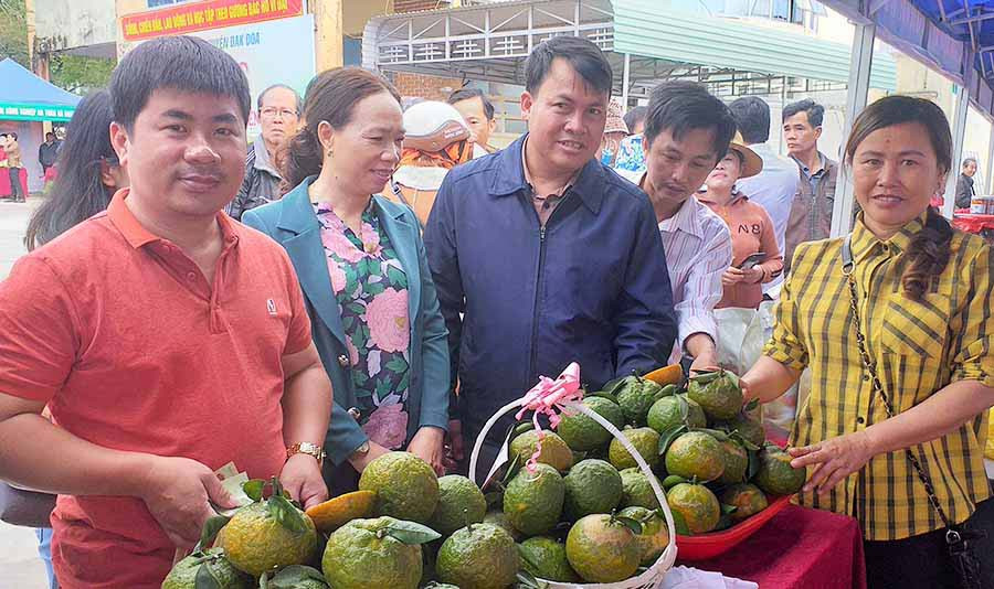  Đông đảo người dân tới tham quan, mua sắm tại chợ phiên nông sản an toàn huyện Đak Đoa. Ảnh: Đinh Yến