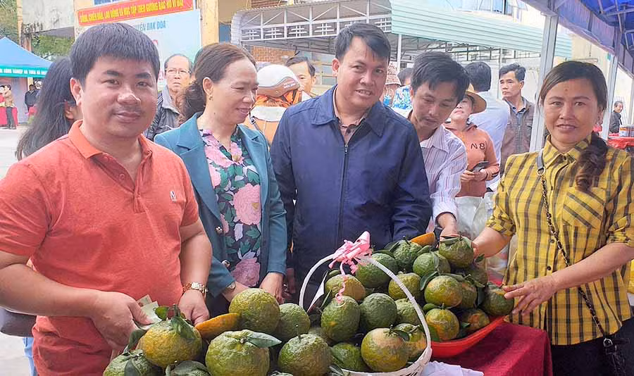  Đông đảo người dân tới tham quan, mua sắm tại chợ phiên nông sản an toàn huyện Đak Đoa. Ảnh: Đinh Yến