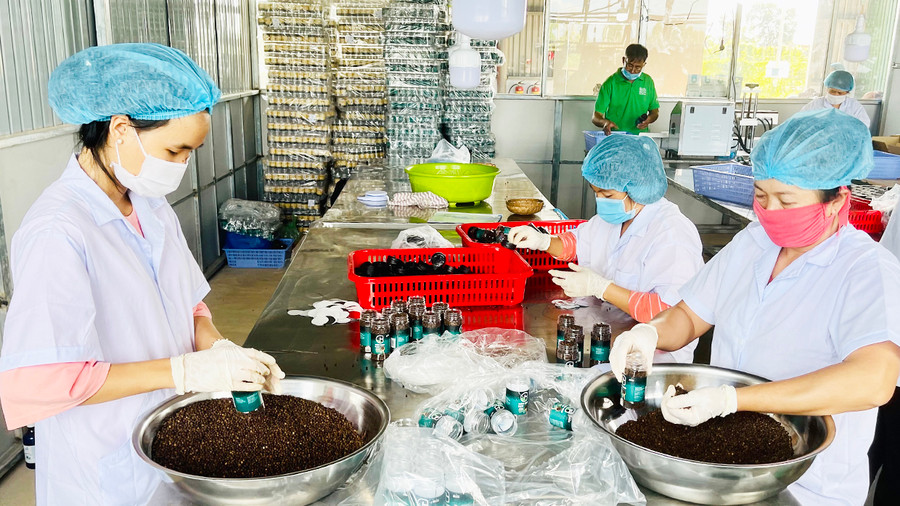 Năm 2023, Gia Lai phấn đấu GRDP tăng trưởng đạt 8,62%. Ảnh: Thảo Nguyên Năm 2023, Gia Lai phấn đấu GRDP tăng trưởng đạt 8,62%. Ảnh: Thảo Nguyên