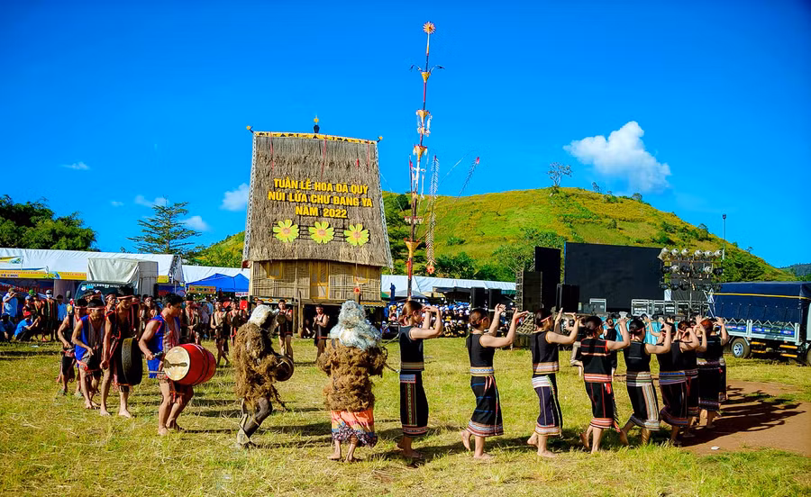 Tuần lễ hoa dã quỳ-núi lửa Chư Đang Ya năm 2022 thu hút đông đảo du khách đến tham quan. Ảnh: Võ Đình Khoa