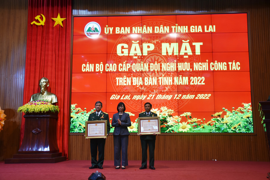 Thừa ủy quyền của Chủ tịch nước, Phó Chủ tịch UBND tỉnh trao Huân chương Bảo vệ Tổ quốc cho các cá nhân. Ảnh: Vĩnh Hoàng