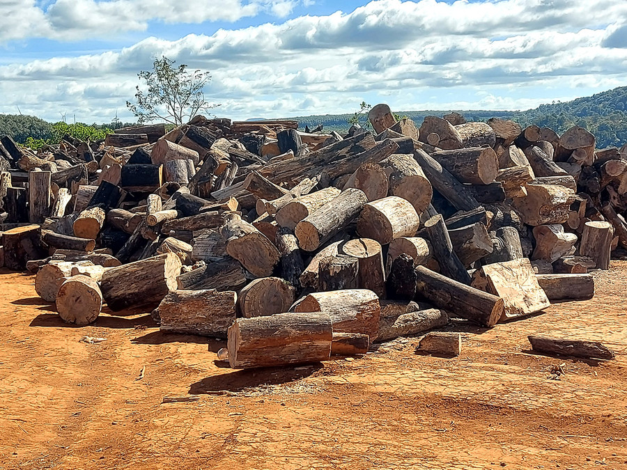  Nhiều đống củi to được chất trong khuôn viên cơ sở băm dăm trái phép ở xã Ia Pếch. Ảnh: Nguyễn Tú