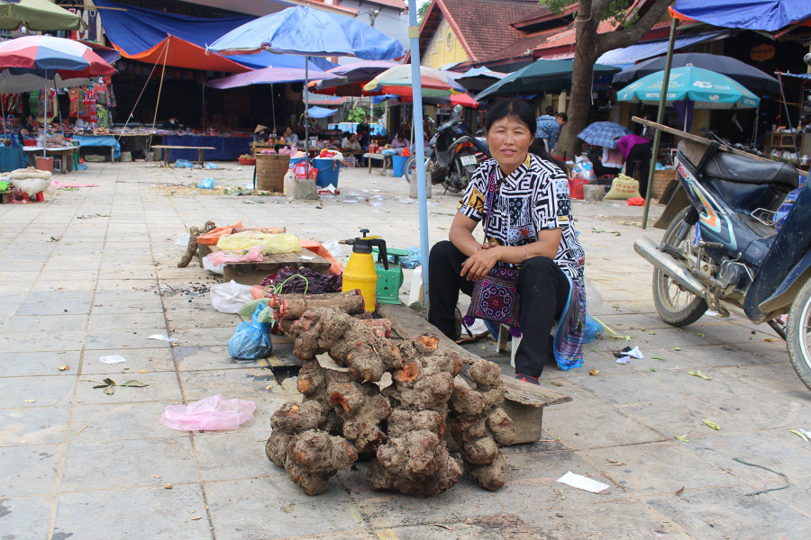 Một người bán thảo dược ở chợ. Ảnh: Quang Viên