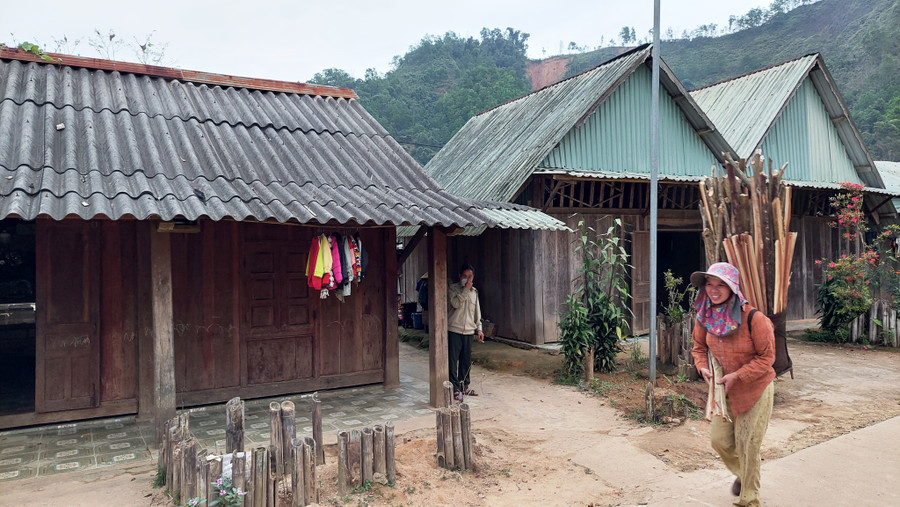 Dù thực hư vẫn chưa được xác tín nhưng “ngải thương” vẫn hiện diện trong niềm tin của đồng bào Cơ Tu tại Tây Giang