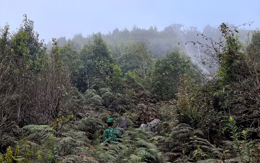 Đỉnh núi đá đặt mốc 295