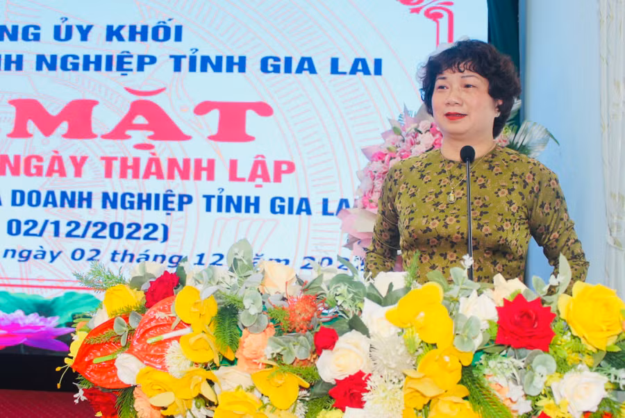 Bí thư Đảng ủy Khối các Cơ quan và Doanh nghiệp tỉnh Phạm Thị Tố Hải phát biểu tại buổi gặp mặt. Ảnh: Phan Lài