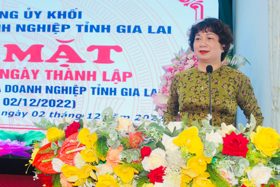 Bí thư Đảng ủy Khối các Cơ quan và Doanh nghiệp tỉnh Phạm Thị Tố Hải phát biểu tại buổi gặp mặt. Ảnh: Phan Lài