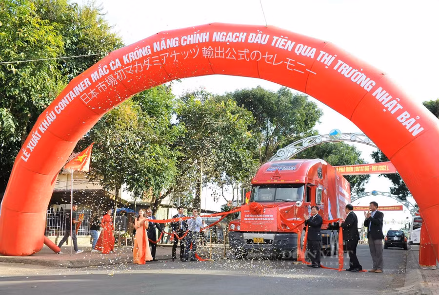 Nguyễn Thị Thu Phương đã đưa Mắc ca Đắk Lắk xuất khẩu chính ngạch sang thị trường khó tính Nhật Bản
