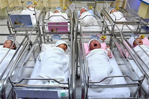 Ngày 15/11/2022 trở thành cột mốc mới trong hành trình phát triển của xã hội loài người khi dân số thế giới chính thức đạt 8 tỷ người. (Ảnh: AFP/TTXVN) Ngày 15/11/2022 trở thành cột mốc mới trong hành trình phát triển của xã hội loài người khi dân số thế giới chính thức đạt 8 tỷ người. (Ảnh: AFP/TTXVN)