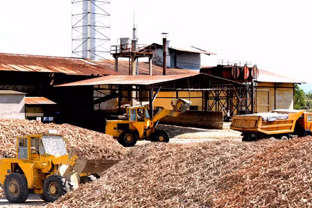 Vận chuyển mì tươi về nhà máy chế biến. Ảnh: Đức Thanh