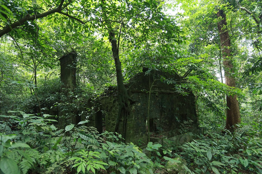 Nhiều công trình thời Pháp thuộc ở Ba Vì đã bị cây cối vây quanh. Màu xanh của rêu, màu xám của nấm mốc, màu bạc của sương mù tạo nên một không gian huyền ảo. Ảnh: Hải Nguyễn