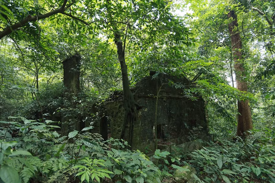 Nhiều công trình thời Pháp thuộc ở Ba Vì đã bị cây cối vây quanh. Màu xanh của rêu, màu xám của nấm mốc, màu bạc của sương mù tạo nên một không gian huyền ảo. Ảnh: Hải Nguyễn